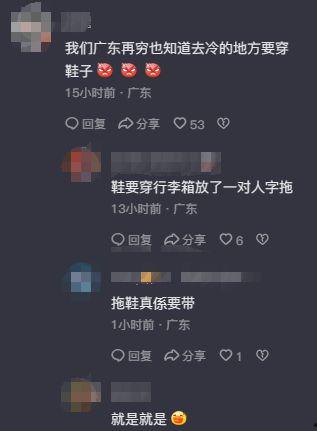 广东新闻第一现场爆料,重大事件引发社会关注